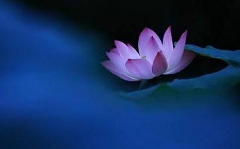 情感导师24小时在线咨询麦玲玲运势测算