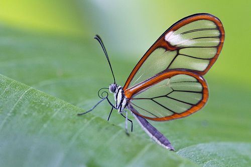 店铺橱柜摆放风水禁忌图片及价格如何在摆放橱柜时避免风水煞气？