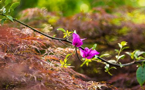 师傅教我念地藏经7遍超度婴灵  孩子终于投胎转
