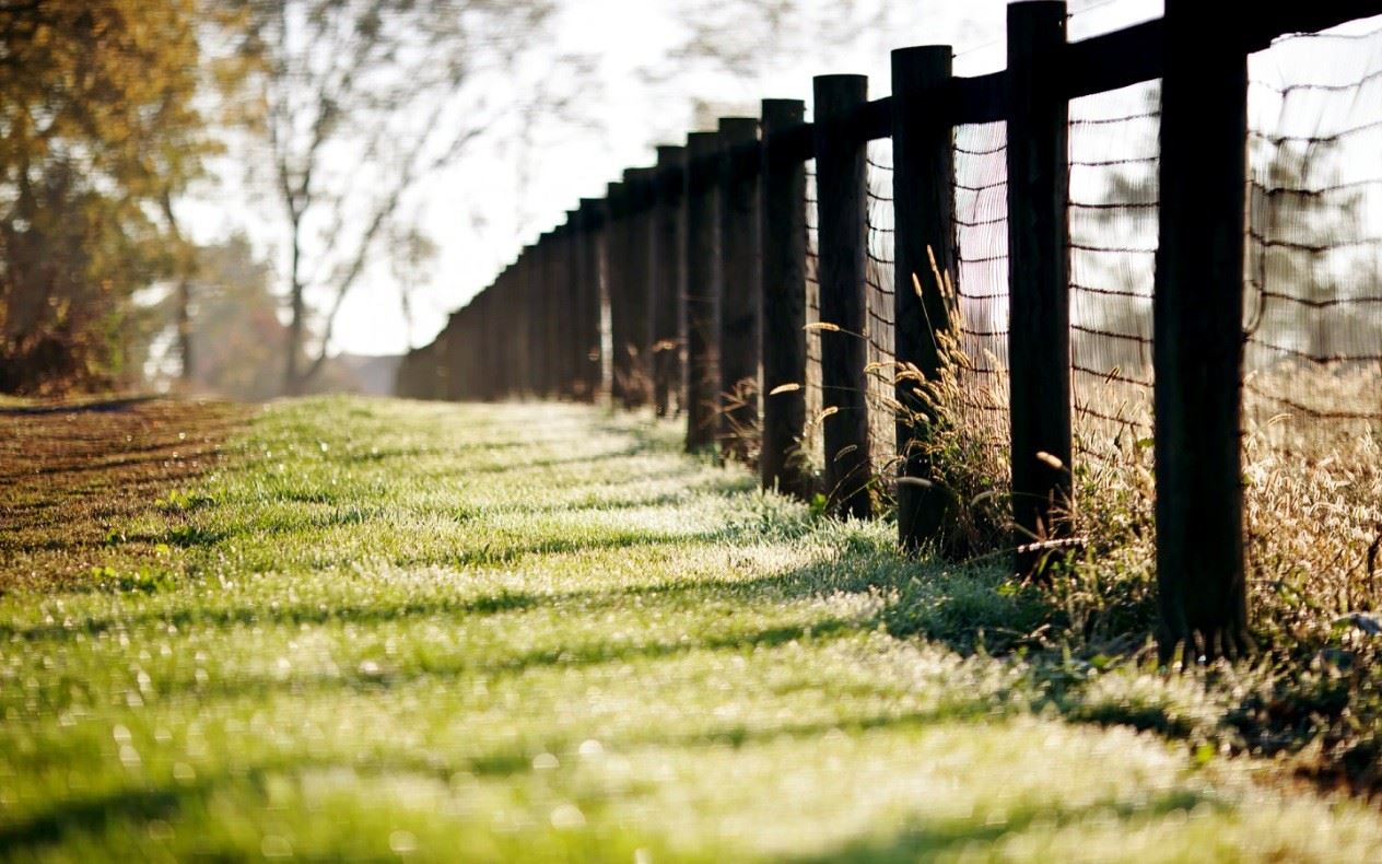 做情感咨询师的条件 注意这几个方面的问题