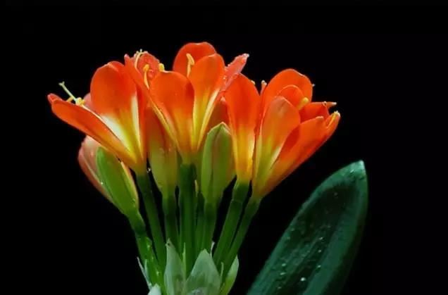 买车提车看日子怎么看,几点钟去比较好