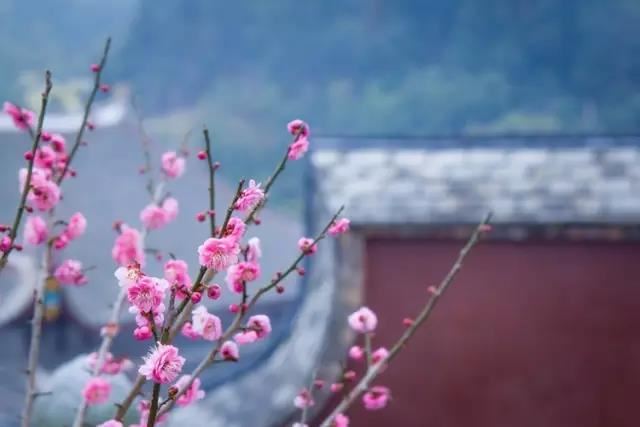 恶化最快的三种癌