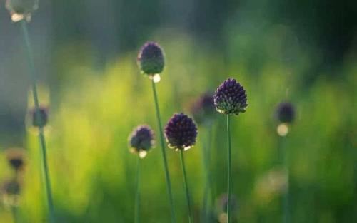 很多人就只关注婴灵对母亲的伤害 却忽略了堕胎婴灵对爸爸的影