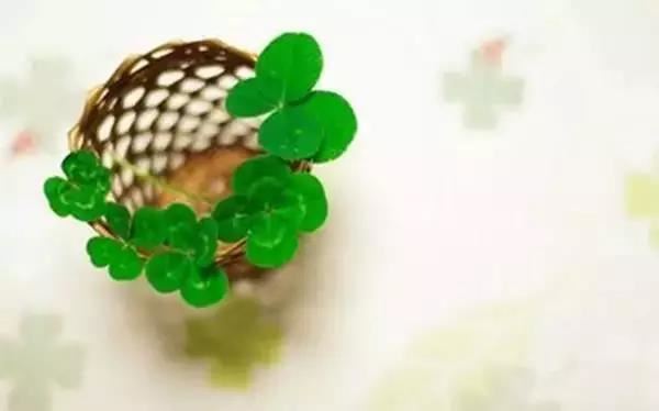 童子命很显年轻，比明星都要好看