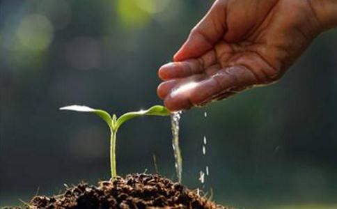 为什么不给婴灵做超度法事 它们就很难投胎