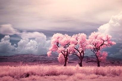 婴灵缠身父亲的表现 被婴灵诅咒身体感到疼痛