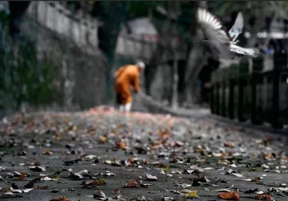 文昌帝君阴鸷文,文昌帝君咒,文昌帝君阴鸷文原文