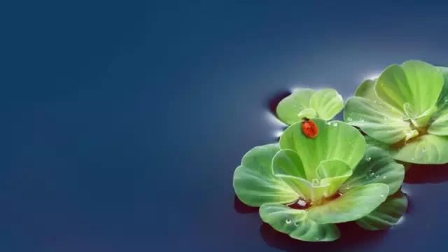 女性八字特征：心机很深