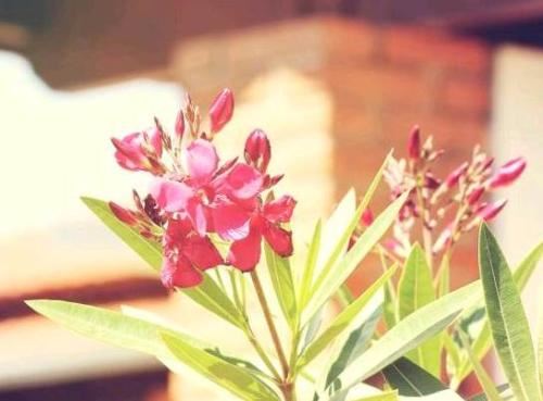 小三插足欲上位 我用回心转意法术守住了爱情