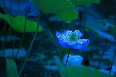 阳光男孩名字微信昵称