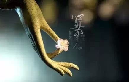 灶台朝向哪个方位最好，灶台风水朝向西最吉利？