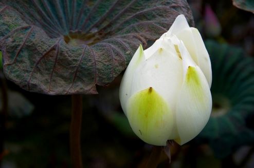 关于中国的知识有哪些？关于中国的知识资料