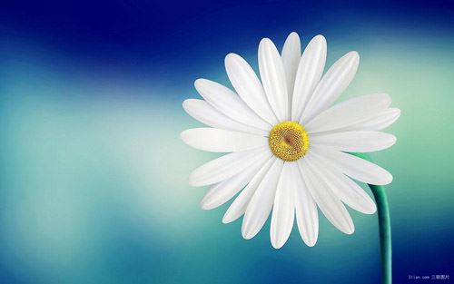 挽回变心的男人的绝招，一招搞定