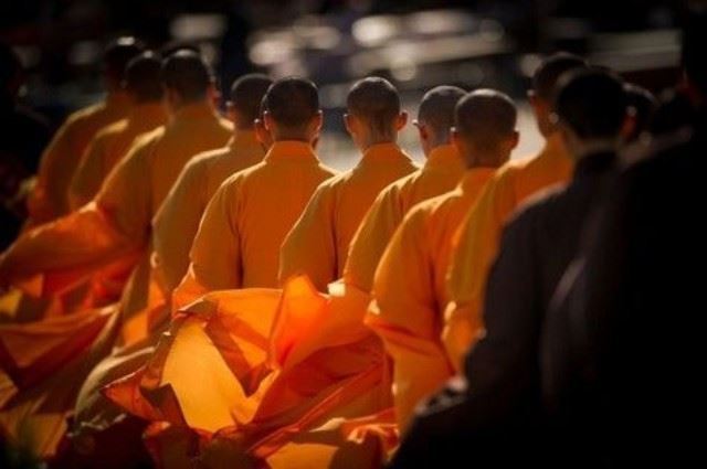 和合术一般价格在多少？