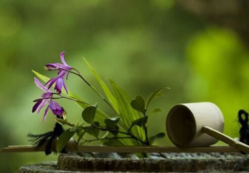 沉稳大气单字男孩名字有哪些？有涵养男孩单字名