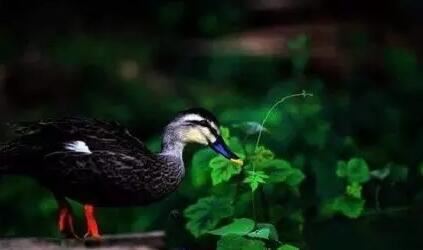 如何分析梦见自己考试的含义？|梦见自己考试怎么办？|梦见自己考试到底代表什么？