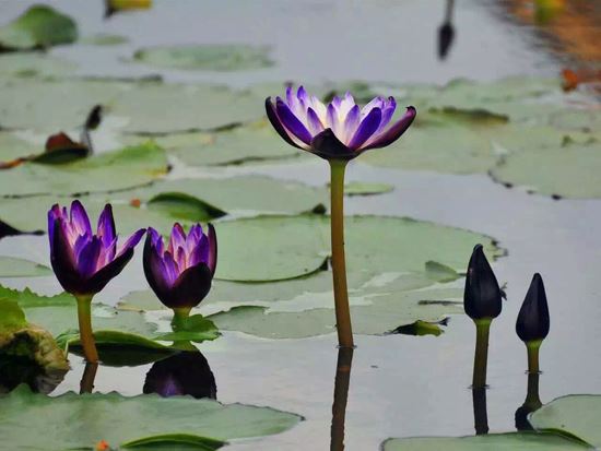 男朋友想分手挽回手足无措 低情商的你怎么少得了这个