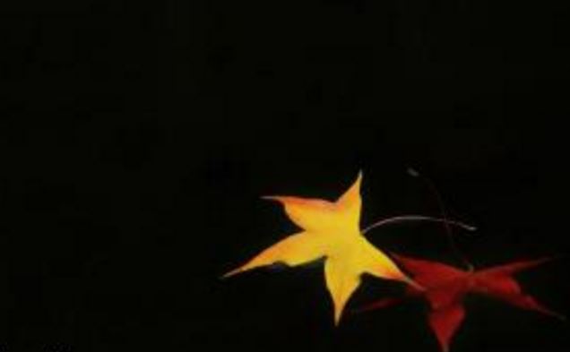 选择的和合术一般价格在多少比较合适