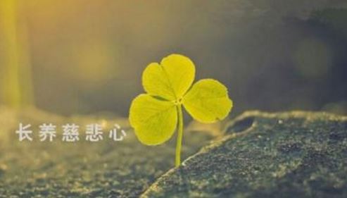 不是所有的开运平安符都有效，符咒的制作也很重要