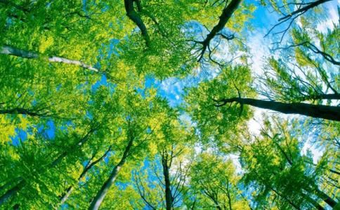 诗经女孩儿名字及寓意 诗经女孩取名字大全集