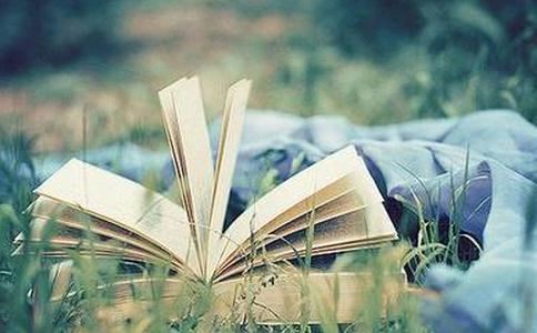 多米诺是什么意思？