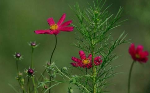 婚姻生活里遇到问题 拯救丈夫事半功倍的方法