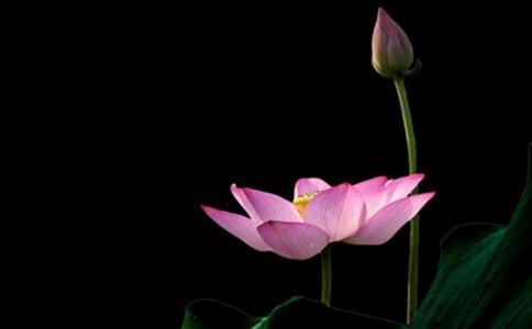 房子风水是什么意思？了解风水原理,为自己的家居引来好运气！