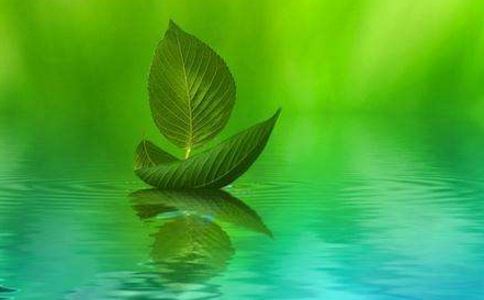 房间邋遢脏的女人，其性格究竟如何？