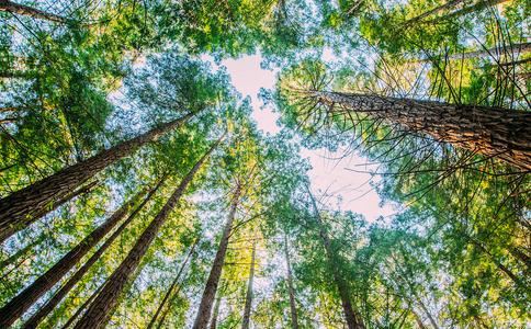 旺财运的女生网名该如何取，有什么讲究