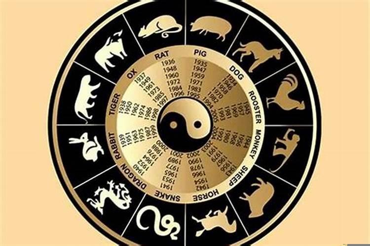 星座属相都不合适能在一起吗?