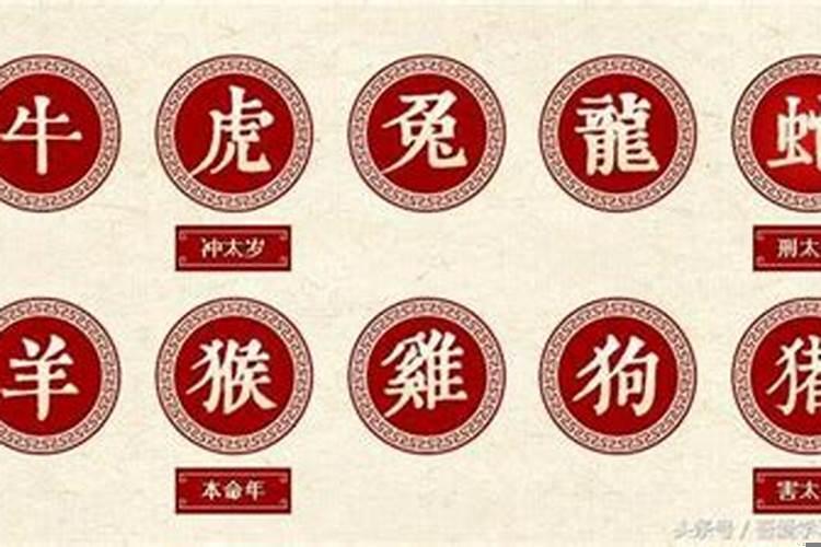 十二生肖按顺序排列表年份
