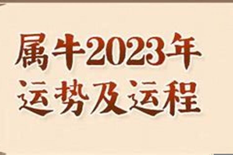 属牛人2023年全年每月运程