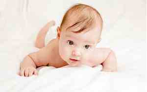 1946年出生的是什么命