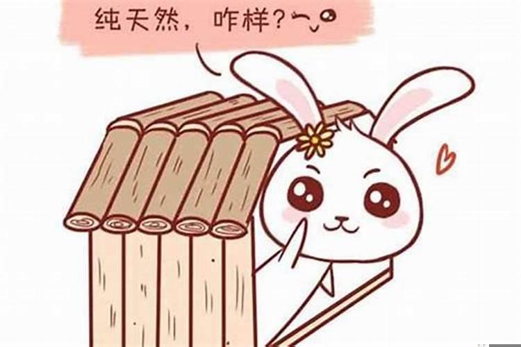 1987年属兔的楼层选择几楼好