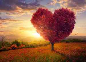 舞剧孔子观后感300字