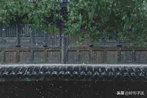 大彻大悟的经典禅语字画