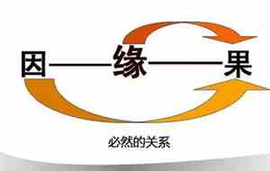 人体内旅行观后感600字