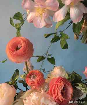 爱情表白最感动的句子,句句暖人心窝