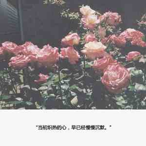 伤感说说长篇看完哭了300字