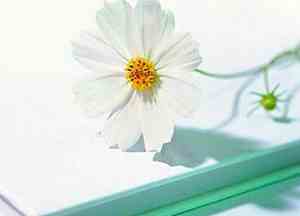 厦门经济特区纪念馆观后感