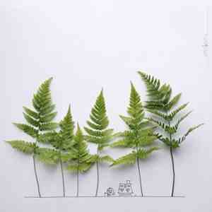 感恩祖国的短句子