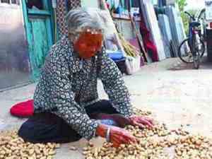 婆媳相处感悟的句子