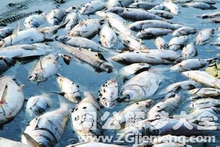 梦见家里停了一辆红色的车