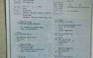 狗狗出生纸多少钱