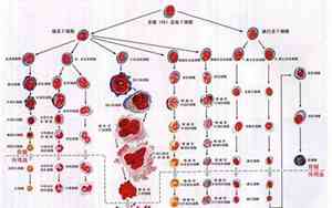 小儿出生后主要造血是