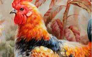 鸡年七月哪天出生好