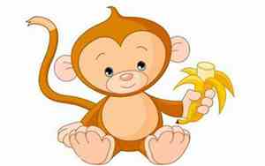 属猴的人几月出生好