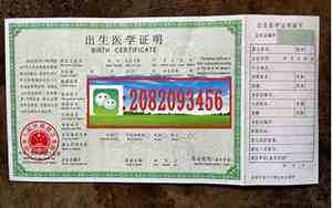 出生证掉了怎么补办