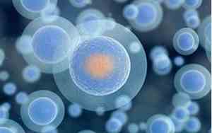 人刚出生时全身的细胞大约只有多少个