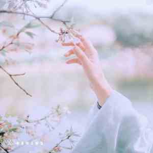 朋友相聚时光的唯美句子